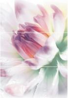 Elixir Bianco Dallas Inserto 30 X 60 х 3