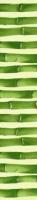 BAMBUS INCA VERDE ФРИЗ