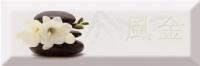 Decor Japan Tea 04 B 10x30