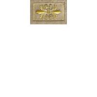 DAFNE GOLD TABACO вставка 10х15