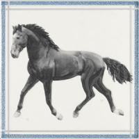 FAYETTE ROCINANTE BLANCO ДЕКОР