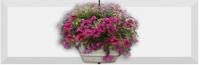 Forja 03 Decor 10 X 30