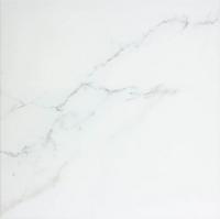 Corinto Blanco 43х43