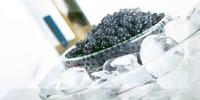 MONOCOLOR BLACK CAVIAR 01 10х20