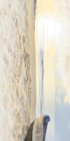 Crema Marfil Sunrise беж.  Н51441