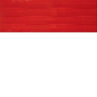 PARIS ROJO стена