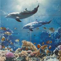 MURAL DOLFINS 100х100