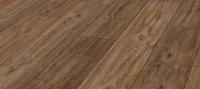 Дуб Паллас D-3586
