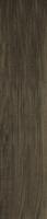 HASEL OCHRA 21,5x98,5