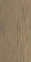 AMICHE BROWN 30х60
