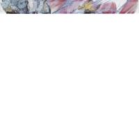 LIBRA AZUL LISTELO 5х50