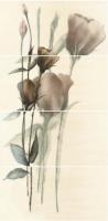 Dream Beige Rzx4 Ombra Inserto 120x60