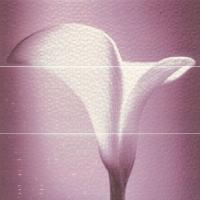 LUNA ANGELS PURPURA  ПАННО