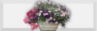 Forja 01 Decor 10 X 30