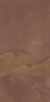 SABRO BROWN 29,5х59,5