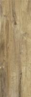 WOODSHINE OCHRA 20х60