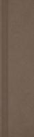 INTERO BROWN STOPNICA 29.8х119.8