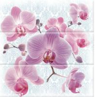 Сomposicion Joy 60x60