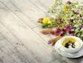 CELTIS