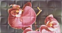 GLAMOUR ORCHID C RSA ДЕКОР