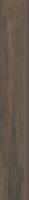 HASEL BROWN 7,2x49,1 цоколь
