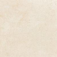 REPRISE ARENA 44,7х44,7