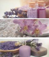 LAVANDA ПАННО 67,5х60
