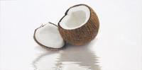 BLANCO COCO ДЕКОР