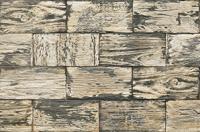 LEGNO NATURAL 10х20