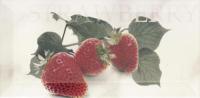Doric: декор Strawberry, 100x200 мм
