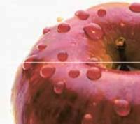 Декор (27х60) DECOR APPLE-2 (комплект из 2шт)