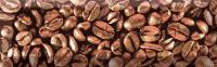 Decor Coffee Beans 03 10x30