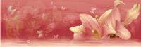 Decor Fiore Bordeaux A 20x60