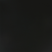 RAINBOW NEGRO ПОЛ