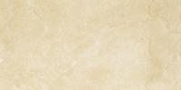 INSPIRATION BROWN 30х60