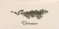 METRO THIMUN CREMA ДЕКОР