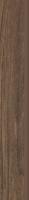 HASEL OCHRA 7,2x49,1 цоколь