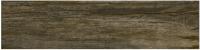 Western Chestnut