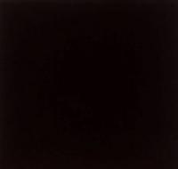 BLOOM NEGRO ПОЛ
