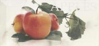 Doric: декор Apple, 100x200 мм