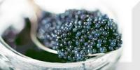 MONOCOLOR BLACK CAVIAR 03 10х20