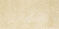 INSPIRATION BROWN 30x60