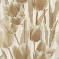 CORALINE PANEL TULIPANY 2  30 X 60
