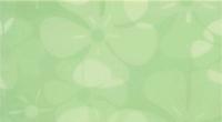 GLAMOUR 3GID JADE  INS. FLOWER ДЕКОР