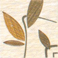 TARIMA CEREZO ДЕКОР
