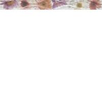 LISTELO EDEN 7.5х75
