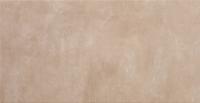 EUROPE NOCE 31X60 G