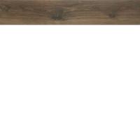OREGON WENGUE 20х114