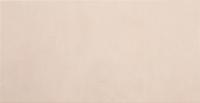 EUROPE BEIGE 31X60 G