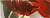 SWING RED 1 ФРИЗ